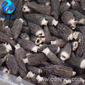 Wild dried morchella